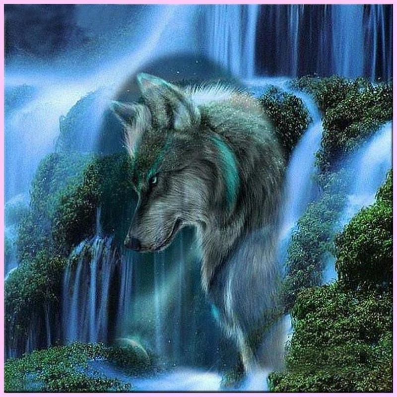 Wolf and Nature are ...